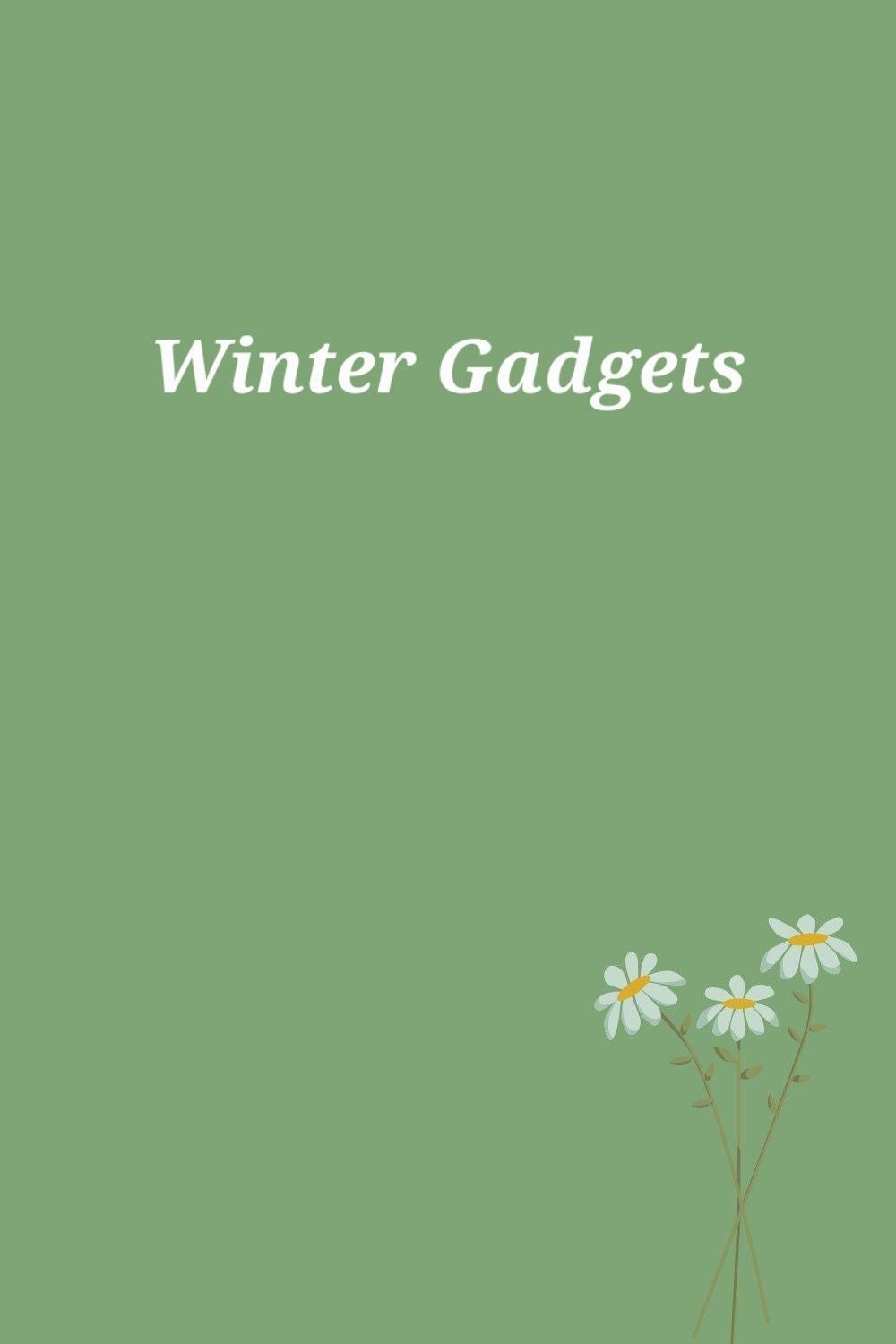 Winter Gadgets True Value